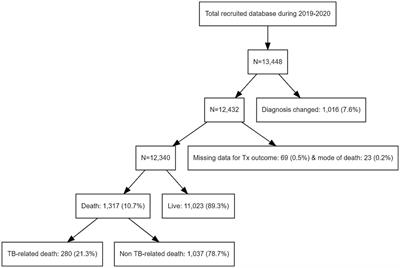 Deaths from tuberculosis: differences between tuberculosis-related and non-tuberculosis-related deaths